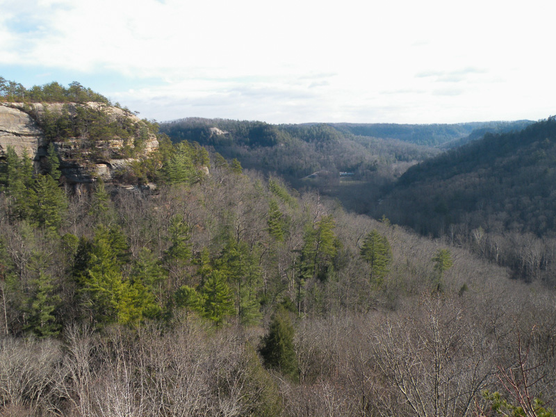 Sheltowee Trace